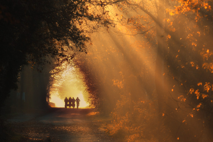 Fietsers onderweg op een herfst ochtend