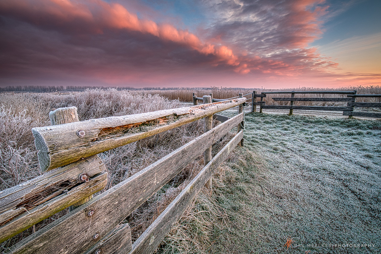 Een winters landschap in het Lauwersmeer Nationaal Park met rijp op de velden en een mooie ochtendlucht - Bas Meelker Landschapsfotografie