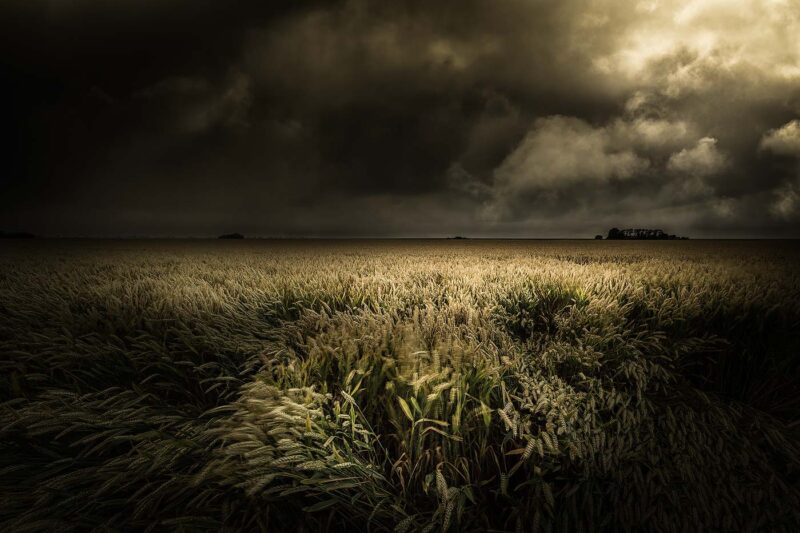 A Storm is coming - Alter Ego