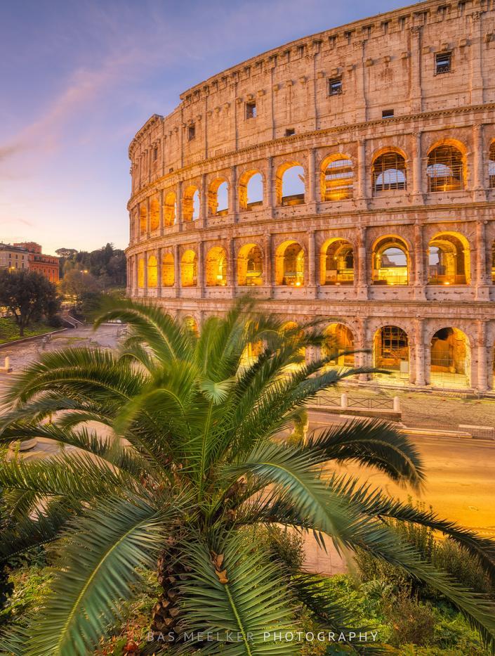 The Roman Colosseum with green palm trees in the foreground and a blue sky with pink colors in the background - Travel image, Rome, Italy