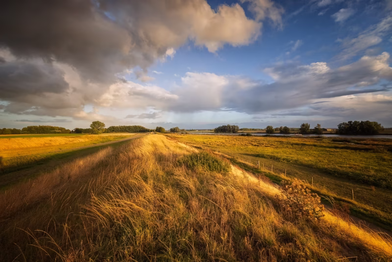 Warm avondlicht en dramatische wolken aan het einde van de zomer bij de Dintelse Gorzen