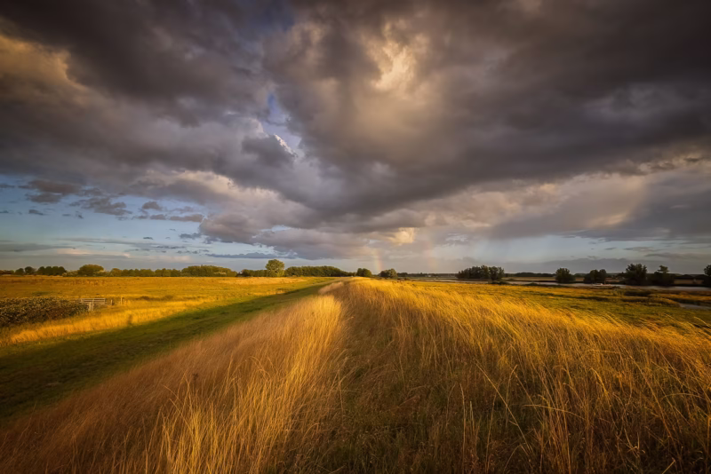 Donkere wolken en warm avondlicht aan het einde van de zomer bij de Dintelse Gorzen