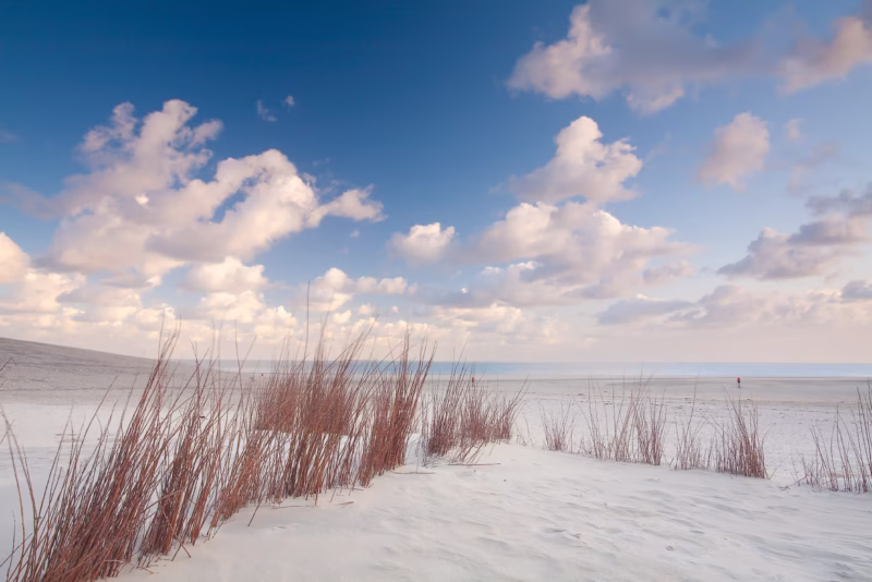 Duinen op het strand van Texel