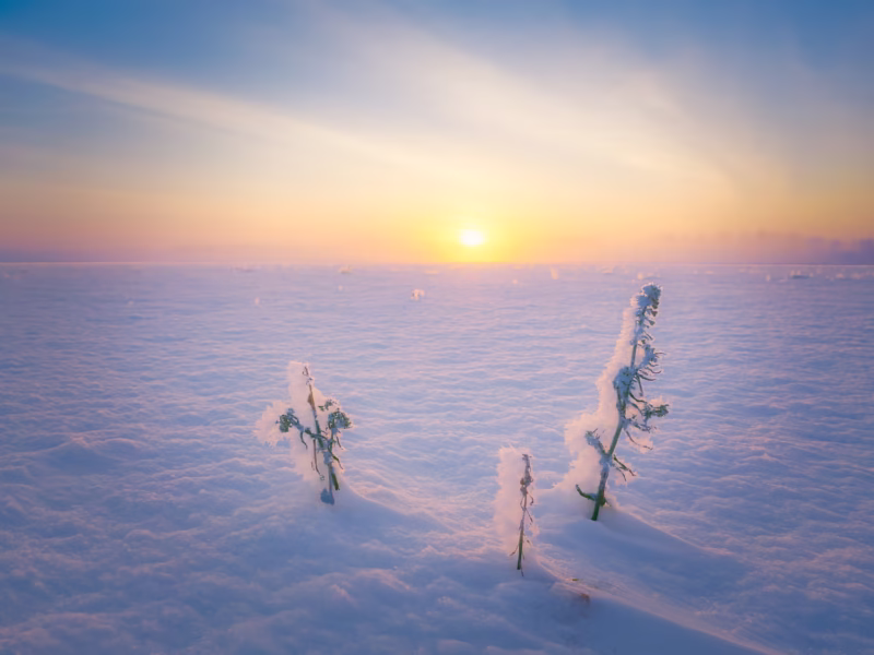Een koude ijzige winter ochtend in een met sneeuw bedekt landschap - Spier, Drenthe, Nederland