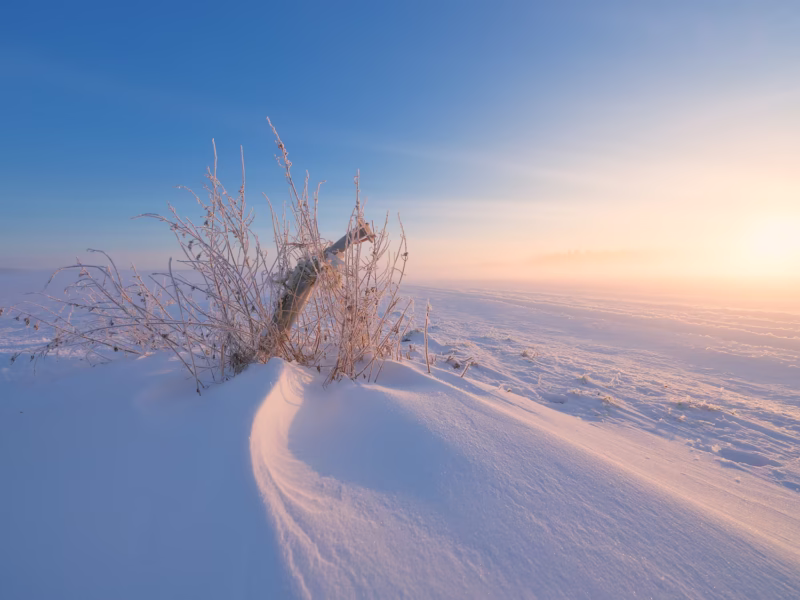 Een koude ijzige winter ochtend in een met sneeuw bedekt landschap - Spier, Drenthe, Nederland