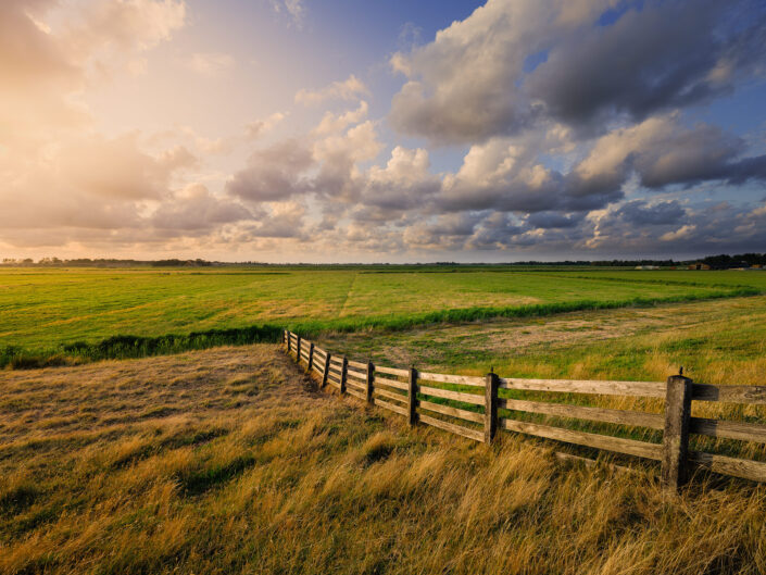 Een typisch Hollands polderlandschap in Friesland. Een oud houtren hek baadt in het zonlicht van de late avond terwijl mooie hollandse luchten voorbij trekken. Het warme licht van de zonsondergang zorgt voor mooie kleuren op het landschap.