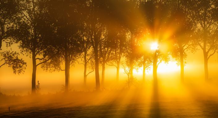 Het Groninger Landschap op een mooie mistige ochtend in mei met prachtig licht