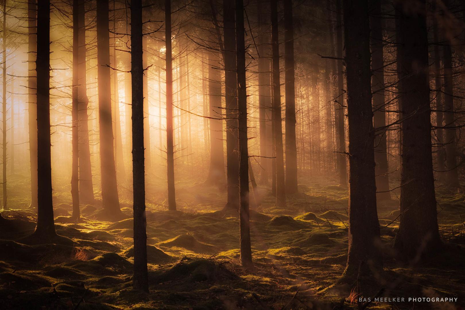Landschapsfoto-Drenthe-Herfst in de bossen bij Gasselte