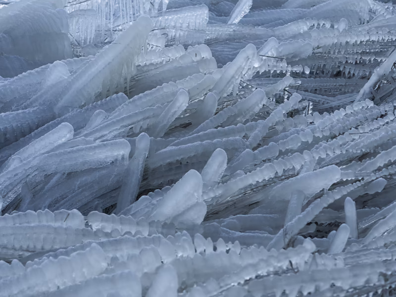 IJssculpturen op de westoever van het Lauwersmeer in Friesland. Een dikke laag ijs bedekt het riet door een harde oostenwind en ijzige temperaturen.