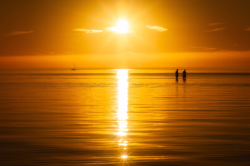 Zwemmers in het IJsselmeer in de zomer