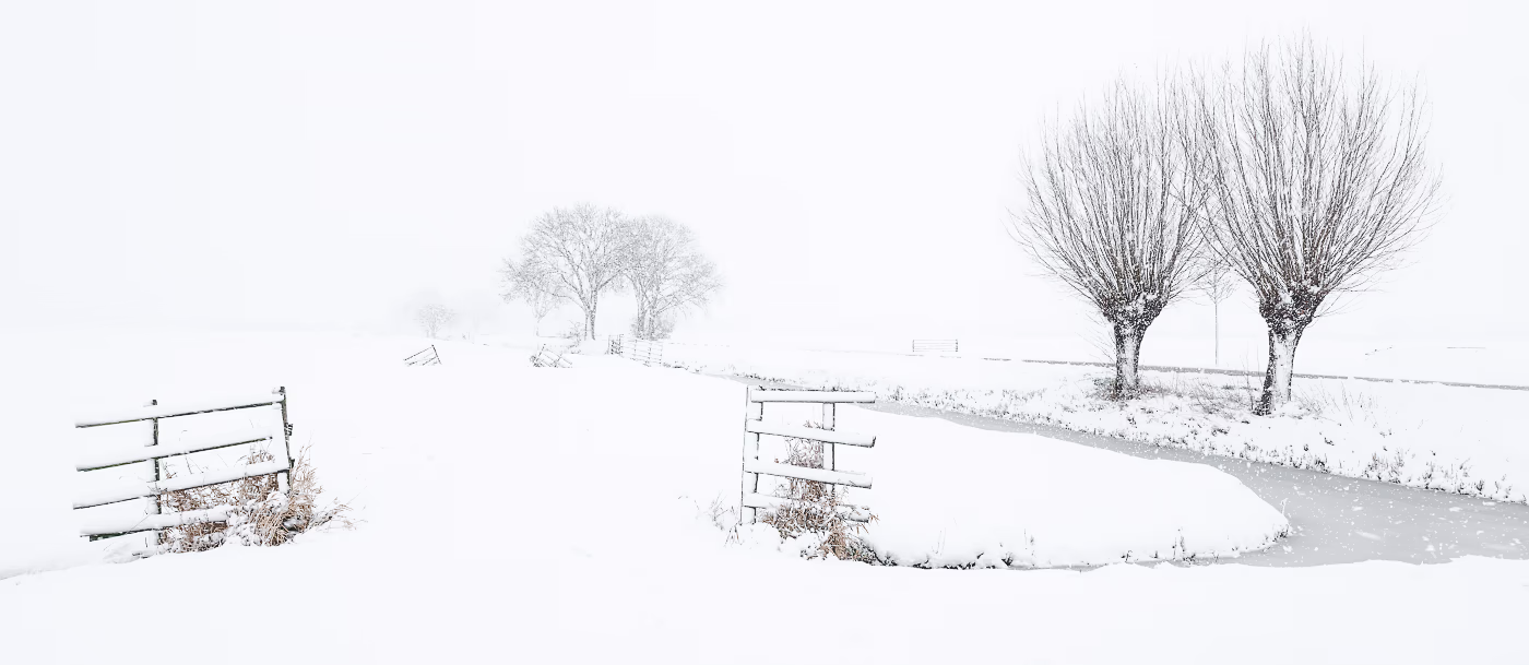 Een sneeuwbui kleurt het landschap wit in de polder - Noordeloos, Nederland