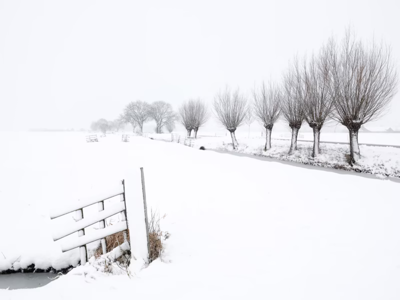Een sneeuwbui kleurt het landschap wit in de polder - Noordeloos, Nederland