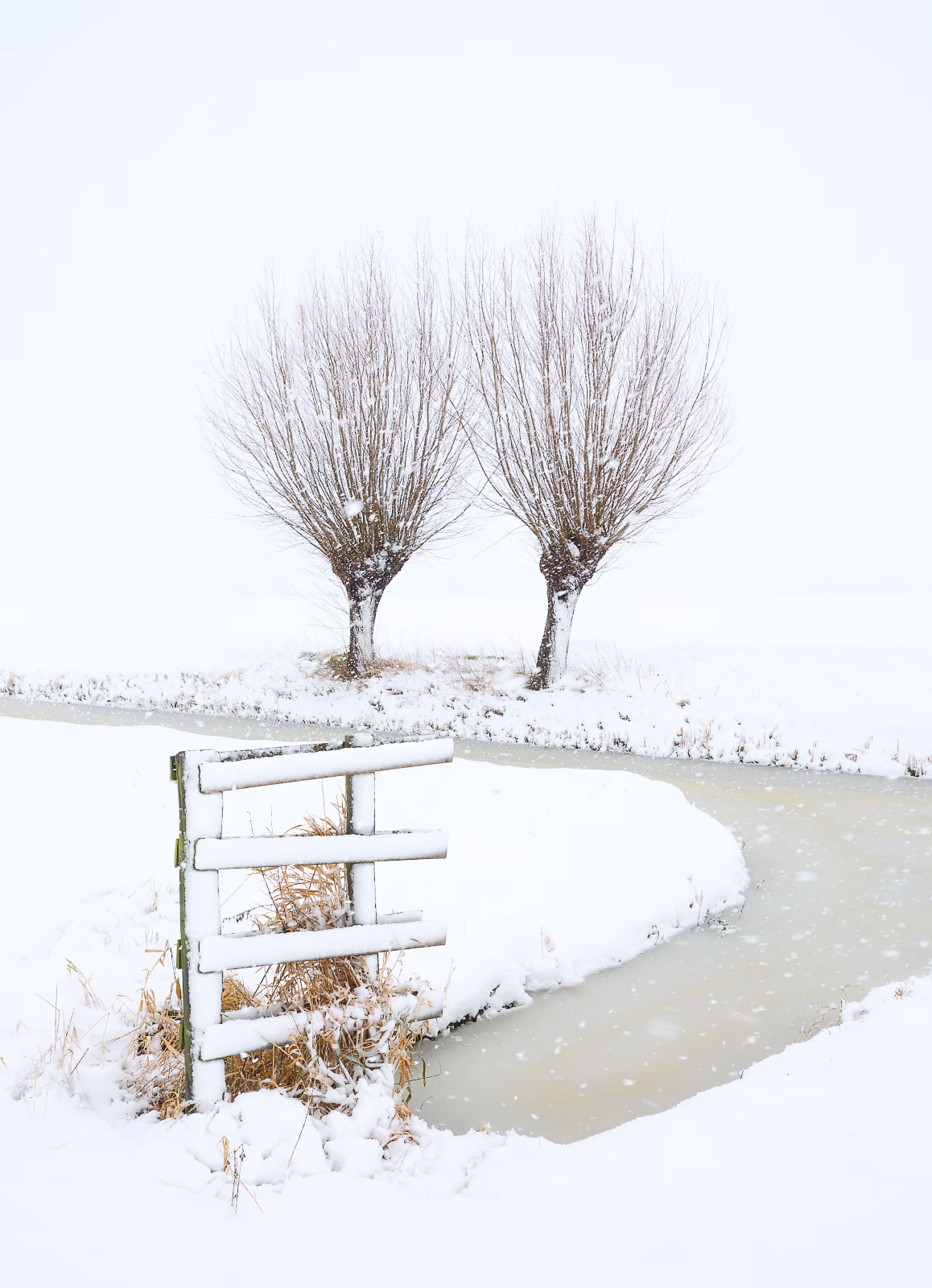 Een sneeuwbui kleurt het landschap wit in de polder - Noordeloos, Nederland