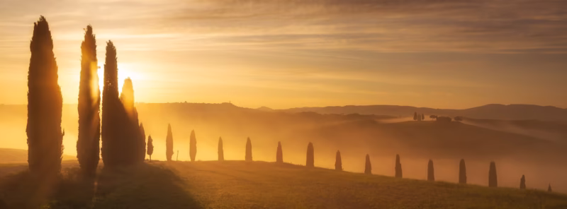 Mist tijdens de zonsopkomst in de heuvels in Toscane, Italië met cipressen.