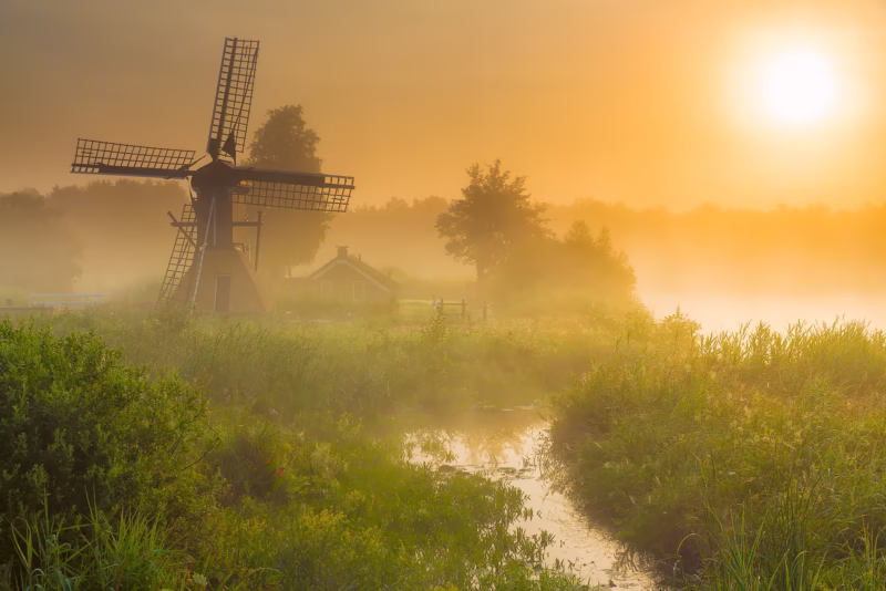 Mist in het Nationaal park Weerribben-Wieden in de lente met een molen