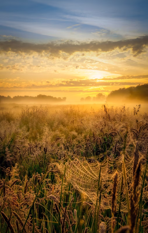 Lente in het Nationaal Park Weerribben-Wieden