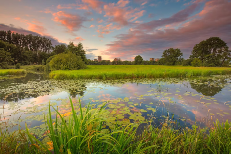 De rivier de Linge bij Meppel in Drenthe in de lente