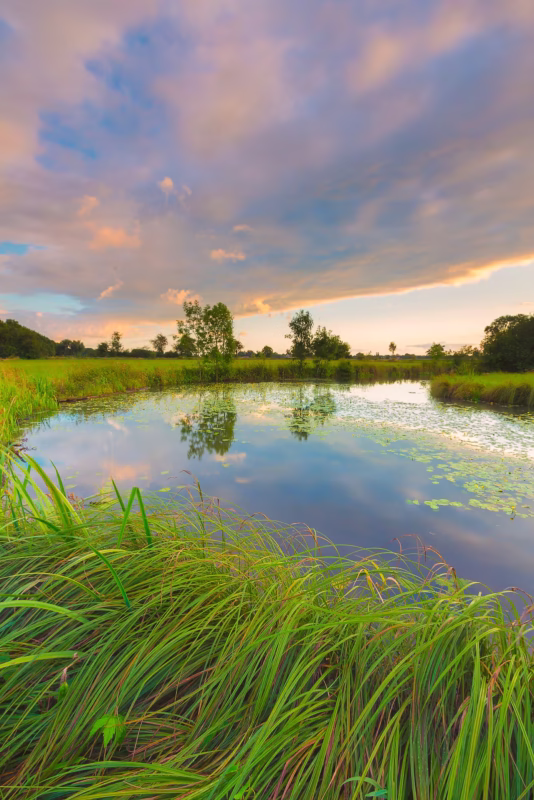 Voorjaar bij de rivier de Linge in Drenthe