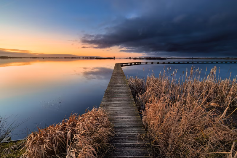 De loopbrug over het Roegwold in Groningen