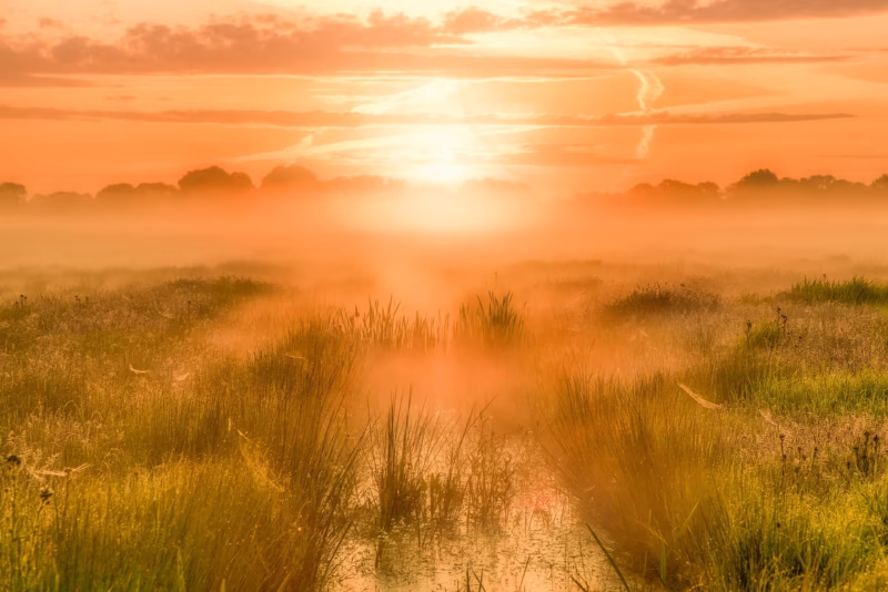 Mist over de velden in het Nationaal Park Weerribben-Wieden