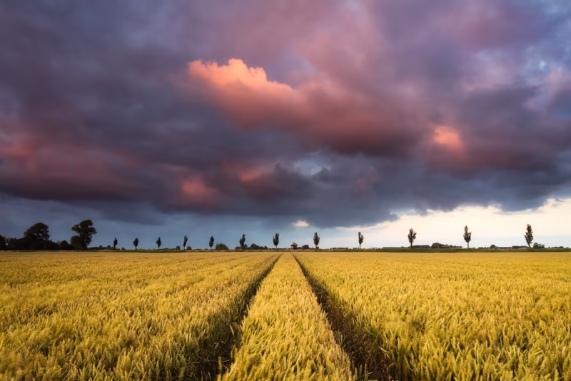 Onweerswolken in de zomer boven Het Hogeland in Groningen