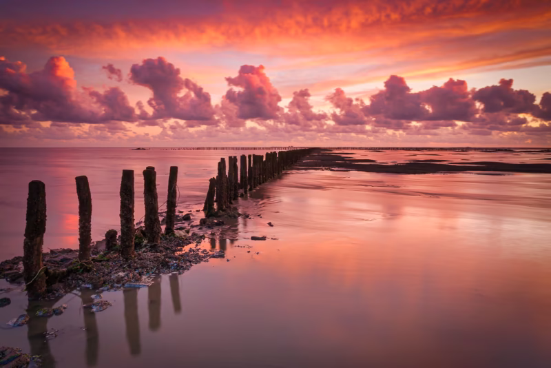 Palen in de Waddenzee met een wolkenlucht met avondrood