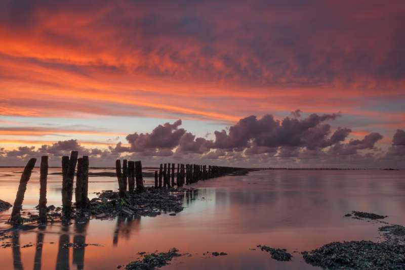 Palen in de Waddenzee met avondrood bij Ternaard