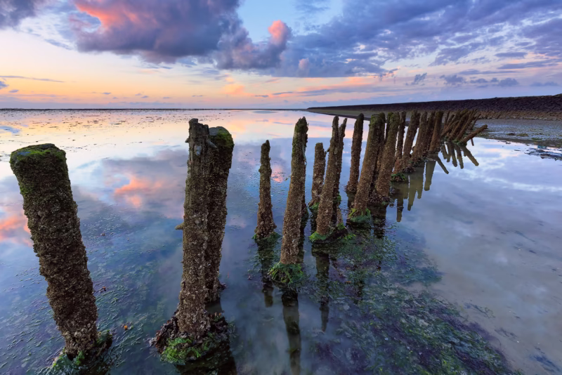 Palen in de Waddenzee tijdens een mooie zonsondergang