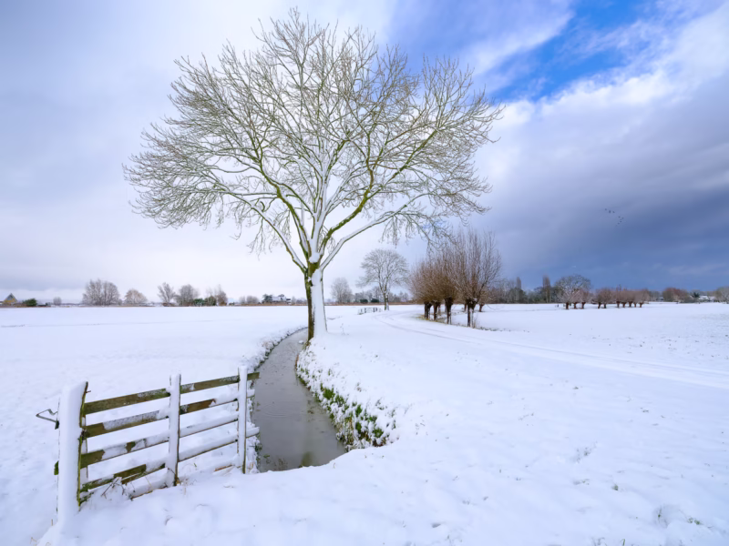 Een polderlandschap in de winter met sneeuw - Noordeloos, Nederland