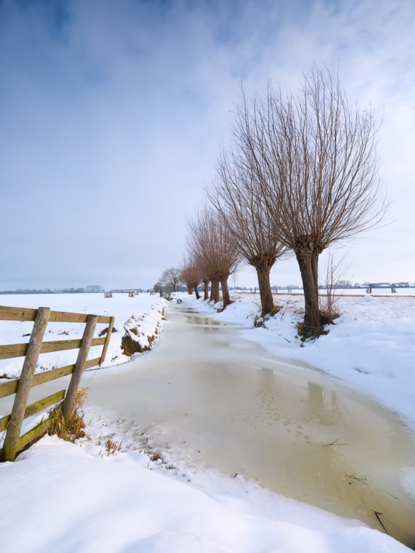 Sneeuw bedekt het polderlandschap bij Noordeloos in de winter