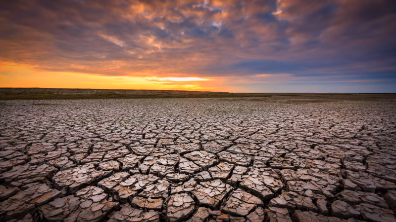 Ternaard met zijn mooie structuren in de klei van de Waddenzee