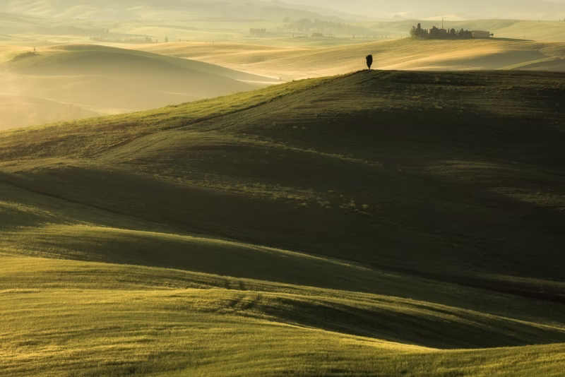 Typisch Toscaans heuvellandschap met mist en warm licht