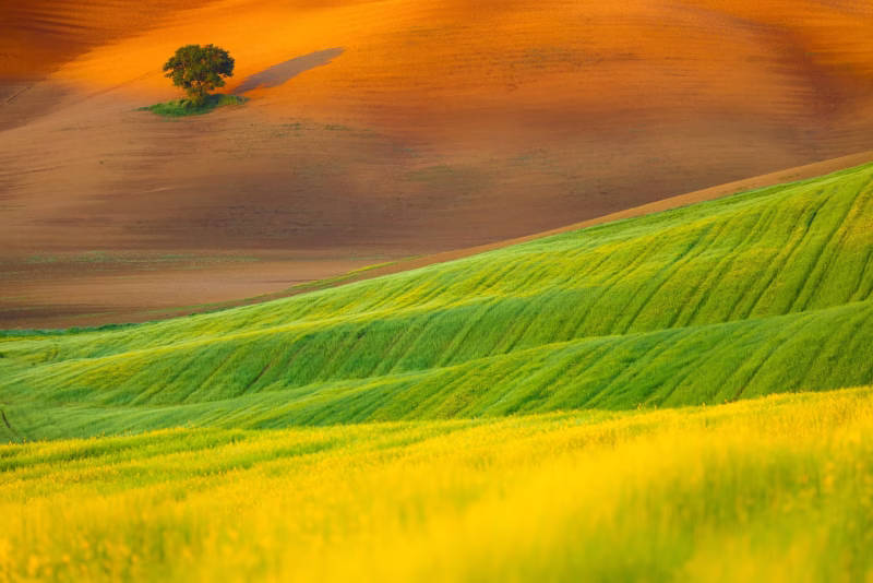De zon komt op in Toscane, Italië