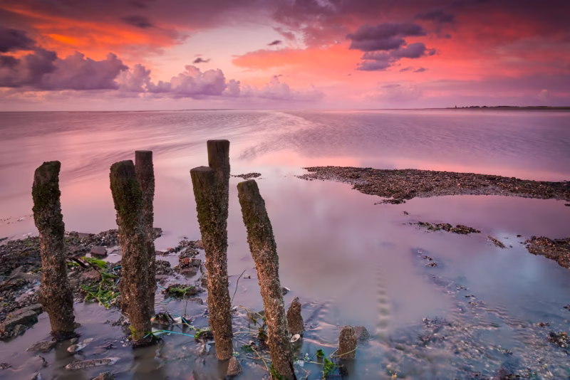 Palen in de Waddenzee met een mooie avondrode wolkenlucht