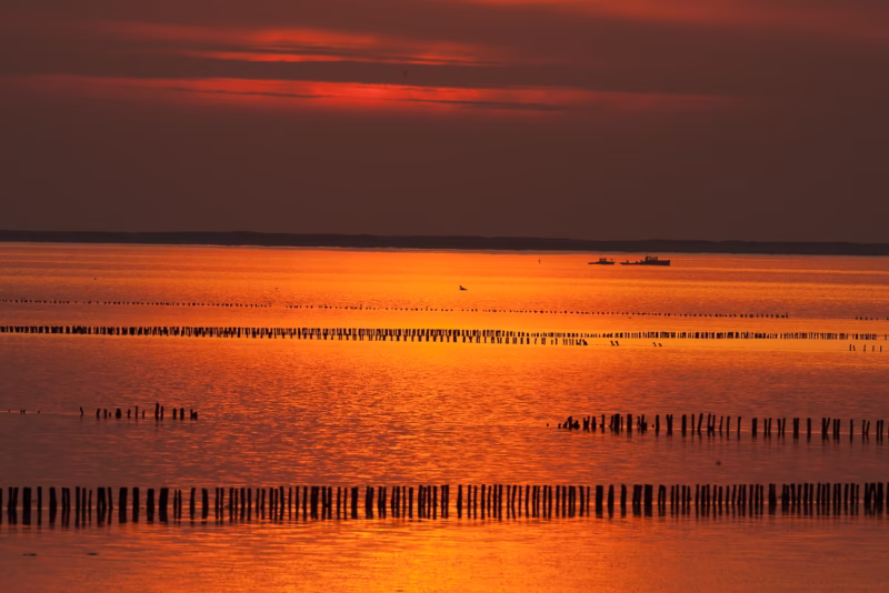 Avondrood reflecteert op de Waddenzee tijdens een gouden zonsondergang