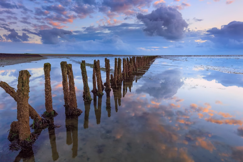 Een palenrij in de Waddenzee tijdens de zonsondergang met een mooie weerspiegeling