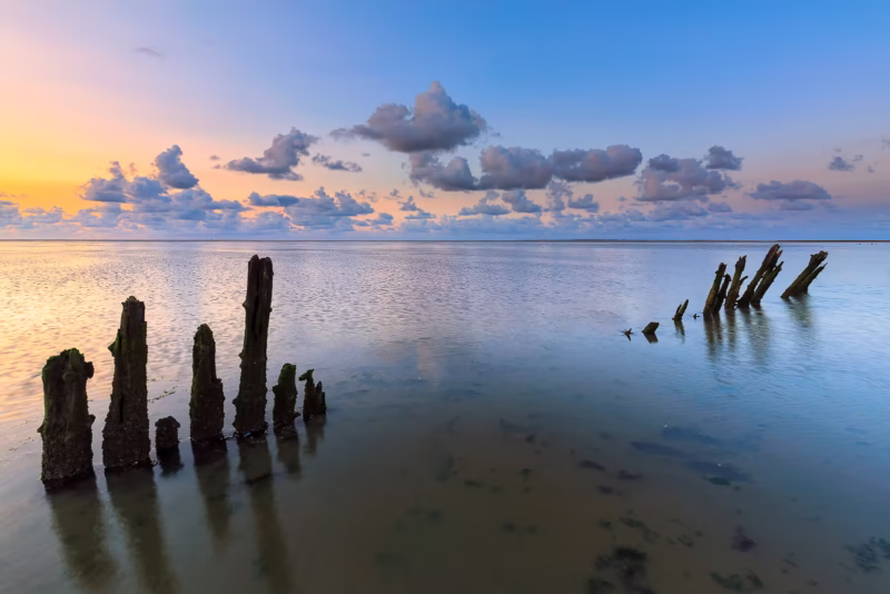 Palen staan in het water op de Waddenzee bij Paessens-Moddergat tijdens zonsondergang