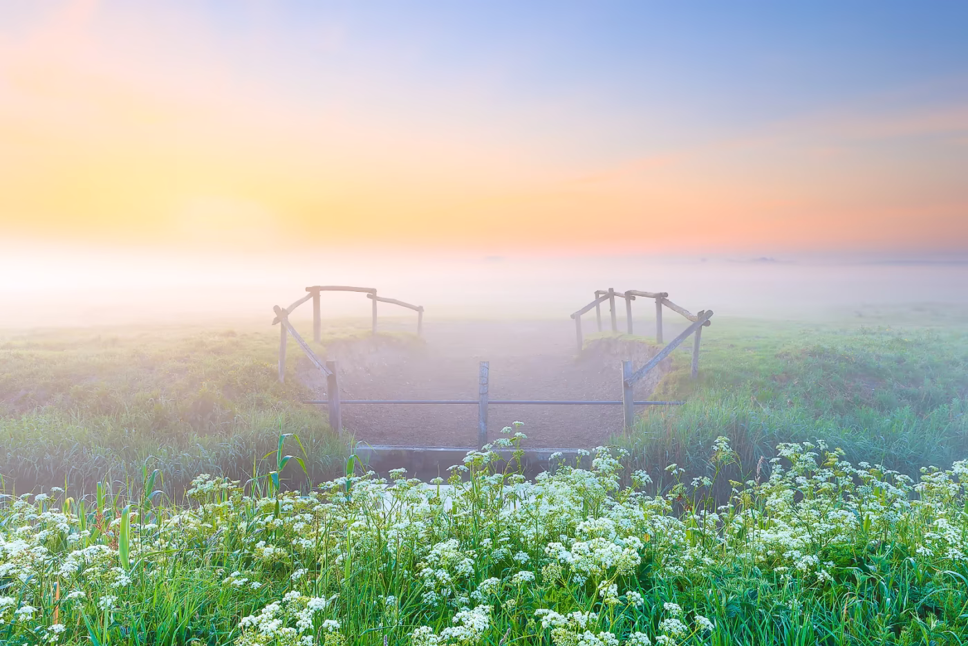 Lente Landschappen - Ochtendmist in de lente in het Nationaal park Lauwersmeer