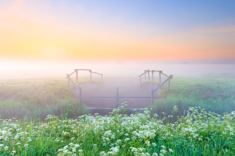 Lente Landschappen - Ochtendmist in de lente in het Nationaal park Lauwersmeer