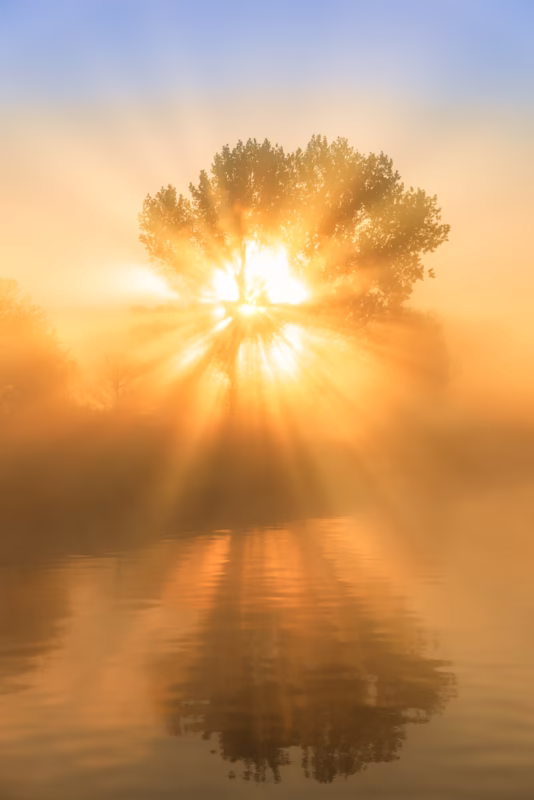 Een mooie zonsopkomst in de lente met mist en zonneharpen