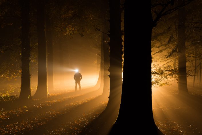 Into Darkness - Een mistige en mystieke nacht in de bossen bij Roden in Drenthe - Bas Meelker Landschapsfotografie