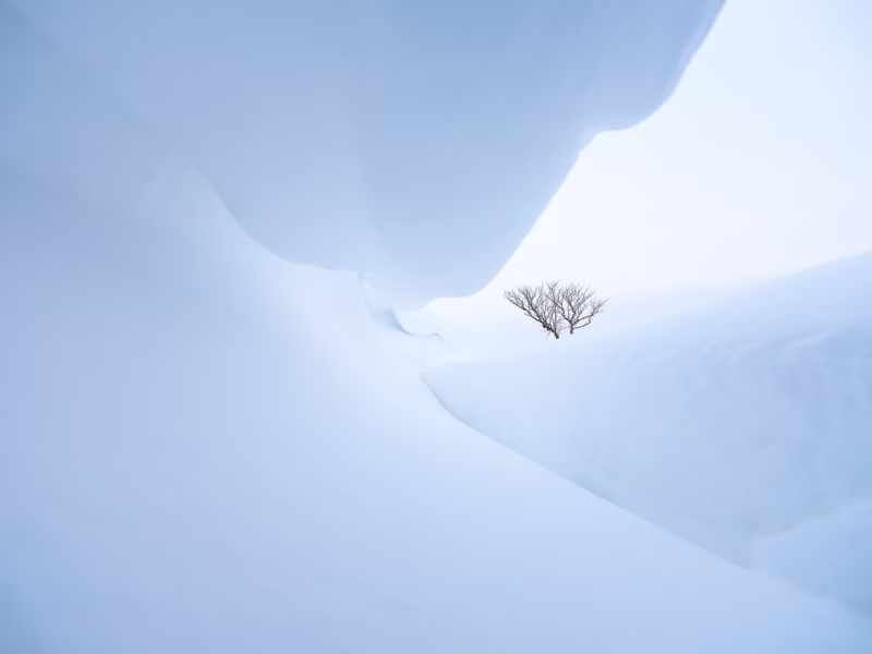 Een harde oostenwind vormt prachtige sneeuwduinen in het Nationaal park Lauwersmeer