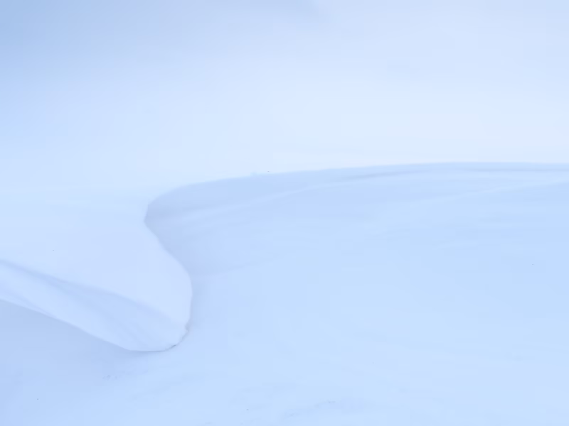 Een harde oostenwind vormt prachtige sneeuwduinen in het Nationaal park Lauwersmeer