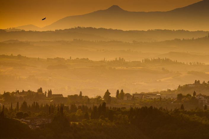 Fields of gold - Tuscany, Italy